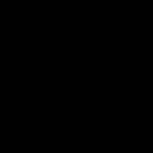 Meet your Posher, Mason